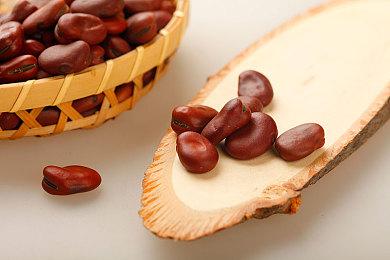 Steam新一周销量榜：《雀魂》打败《战地6》登顶！